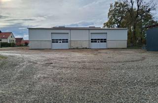 Gewerbeimmobilie mieten in 85256 Vierkirchen, lichtdurchflutete Lagerhalle im Erstbezug