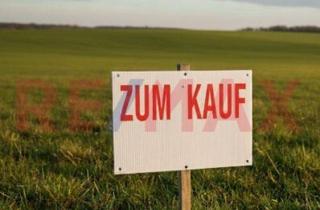 Grundstück zu kaufen in 67590 Monsheim, 644m² - sehr großes Baugrundstück zum naturnahen Wohnen