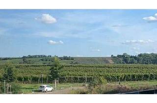 Wohnung mieten in 74348 Lauffen, Wohnung in Top Lage - 2,5 Zimmer & großem Balkon- nachhaltig & energieeffizient