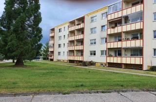 Wohnung mieten in Am Wehberg, 23972 Dorf Mecklenburg, Attraktive 1-Zimmer-Wohnung, mit EBK, in Dorf Mecklenburg