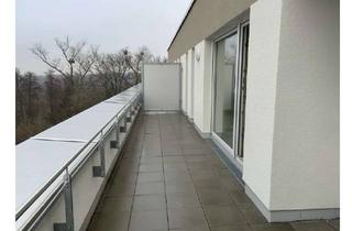 Penthouse mieten in 76344 Eggenstein-Leopoldshafen, Schöne 2 Zimmer Penthouse Wohnung mit Blick ins Grüne
