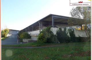 Garagen mieten in Dissenchener Straße 91, 03042 Sandow, SANDOW-Garagen: gesichert-geschützt-gepflegt. Stellplätze frei, elektrisches Rolltor, Fernbedienung