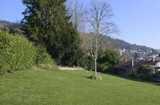 Villa kaufen in 69151 Neckargemünd, Architektenvilla mit Garten – ein Zuhause für heute, morgen und Familie