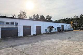 Gewerbeimmobilie kaufen in Friedenstraße 133, 02929 Rothenburg, Gewerbeimmobilie am Flugplatz mit zwei Hallen