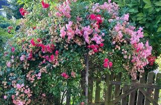 Grundstück zu kaufen in 22119 Billstedt, = OHNE MAKLER = 2 schöne BAUPLÄTZE mit Baugenehmigung in ruhiger Süd - Lage