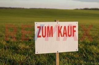 Grundstück zu kaufen in 67590 Monsheim, 644m² - sehr großes Baugrundstück zum naturnahen Wohnen