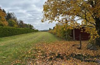 Grundstück zu kaufen in Wochenendgebiet A. D. Berg, 78628 Rottweil, Bebaubares Freizeit Grundstück in Rottweil, Feckenhausen