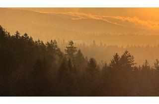 Wohnung kaufen in 94089 Neureichenau, Neureichenau - Renovierte 1-Whg. 38 qm - Vermietung, Feriendomizil, Erstwohnsitz