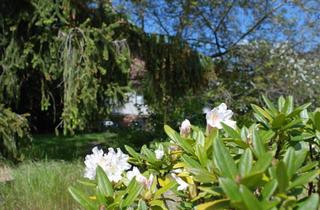 Einfamilienhaus kaufen in 30659 Hannover, Hannover - Hannover Baugrundstück grün ruhig zentral EFH Haus Bothfeld Lahe