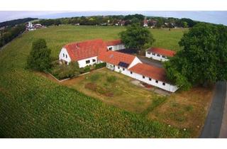 Einfamilienhaus kaufen in 32351 Stemwede, Stemwede - Einfamilienhaus mit mehren HallenGaragen und Werkstatt