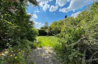 Haus kaufen in 06679 Hohenmölsen, Hohenmölsen - Wohnhaus mit Garten, Terrasse und Geschäftseinheit