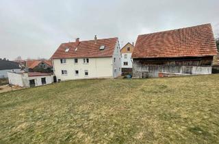 Haus kaufen in 36396 Steinau, Steinau an der Straße - Saniertes Zweifamilienhaus