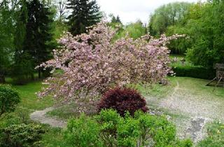 Wohnung kaufen in Wunsiedeler Weg 36, 12247 Lankwitz, Schöne 2-Zimmerwohnung mit Sonnenterrasse und herrlichem Ausblick in den großen parkähnlichen Garten