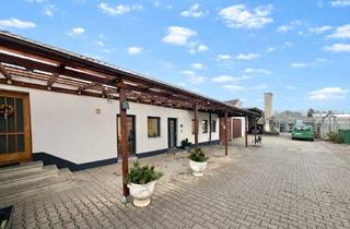 Wohnung mieten in Dachauer Str. 00, 80995 Allach-Untermenzing, 3-Zi. Familienwhg, mit SONNIGEM Garten in München-ALLACH