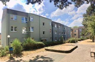 Wohnung mieten in Schliemannstraße 15, 40699 Erkrath, Frisch renovierte 2-Zi.-Whg. mit modernem Bad und Balkon