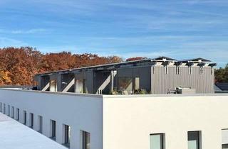 Wohnung mieten in Sperlingweg, 38642 Goslar, Innovative Wohnung mit Dachterrasse, Fussbodenheizung, Photovoltaik, Einbauküche u.v.m.