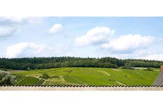 Wohnung mieten in 65399 Kiedrich, Lichtdurchflutete große 1-Zimmer-Wohnung mit großer Küche inkl. EBK, Südwestbalkon und Ankleide