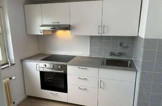 Wohnung mieten in Dr. Michael-Fischer-Str. 19, 74889 Sinsheim, Erstbezug nach Renovierung - helle 2,5-Zimmer-DG-Wohnung