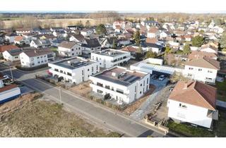 Wohnung mieten in Ulmenstr., 67575 Eich, 3 ZKB Neubauwohnung in Alzey-Worms (Kreis), Eich