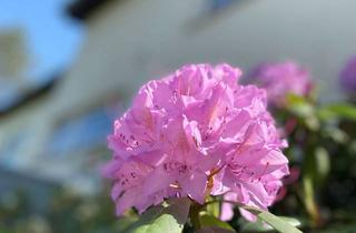 Mehrfamilienhaus kaufen in 70597 Degerloch, Mehrfamilienhaus in S-Degerloch zu verkaufen