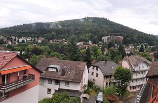 Haus kaufen in 76332 Bad Herrenalb, Kapitalanlage mit 720 m² Nutzfläche und 1026 m² Grundstück