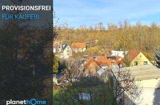 Einfamilienhaus kaufen in 06249 Mücheln, Provisionsfrei für den Käufer: gemütliches Einfamilienhaus mit Potenzial für Familien in Mücheln