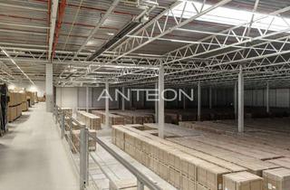 Gewerbeimmobilie mieten in 47877 Willich, Projektentwicklung Logistik | ebenerdig & Rampen | ab Q1 2027