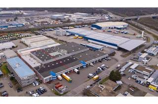 Gewerbeimmobilie mieten in 68766 Hockenheim, Hallenfläche für Logistik, Lager oder Produktion in bester Lage Hockenheims!