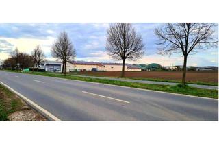 Büro zu mieten in 64521 Groß-Gerau, Großzügige Halle ( Lager, Werkstatt, Büros)