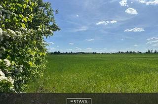 Gewerbeimmobilie kaufen in 15370 Fredersdorf-Vogelsdorf, Gewerbegrundstück mit Hallen-, Büro- und Sozialflächen – Flexibel nutzbares Areal