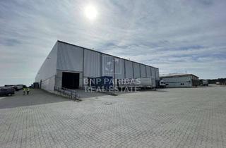 Gewerbeimmobilie mieten in 21079 Heimfeld, Logistikhalle mit Gleisanschluss