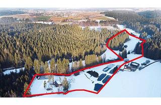 Anlageobjekt in Neugrünberg, 95683 Ebnath, Rarität - 3,8 ha großes eingezäuntes Wildgehege mit Blockhütte und Fischzucht