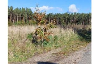 Grundstück zu kaufen in Neue Grenze, 29313 Hambühren, Attraktive Bauplätze – Perfekte Lage zwischen Celle und Hannover