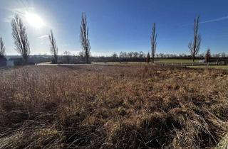 Grundstück zu kaufen in 90556 Seukendorf, Ca. 1.840 m² Grundstück für neue Wohnkonzepte