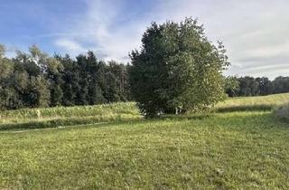 Grundstück zu kaufen in 96482 Ahorn, Neubau eines Einfamilienhauses mit Garage