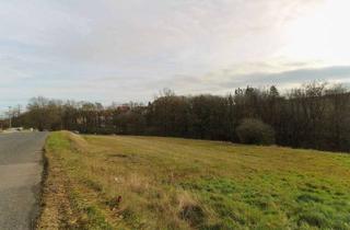 Grundstück zu kaufen in 36277 Schenklengsfeld, Großzügiges Hanggrundstück in Schenklengsfeld-Erdmannrode