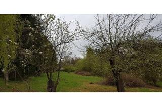 Grundstück zu kaufen in Galgenbergsteige Flurstück 1447, 75365 Calw, Grundstück im sonnigen Wochendhausgebiet Osterhalde