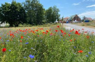 Grundstück zu kaufen in Bergweg, 16230 Melchow, Baugrundstück, für Doppel,- Mehrfamilien,- oder Einfamilienhäuser, bauträgerfrei