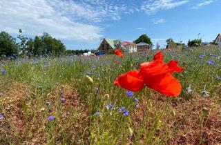 Grundstück zu kaufen in Bergweg, 16230 Melchow, Bauträgerfreies Grundstück (TF A) mitten im Naturpark Barnim