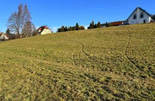 Grundstück zu kaufen in 91220 Schnaittach, Attraktives, großzügiges Grundstück in Schnaittach