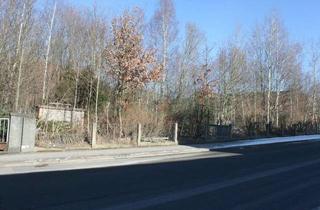 Gewerbeimmobilie kaufen in 08468 Reichenbach, Innerstädtisches Baugrundstück – Mischgebiet mit vielseitigen Nutzungsmöglichkeiten