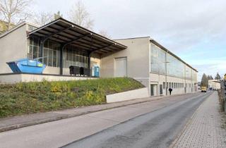 Geschäftslokal mieten in 07549 Gera, 1440 m² große Halle für Lager und Produktion, mit LKW befahrbar zur Miete im Gewerbepark Gera