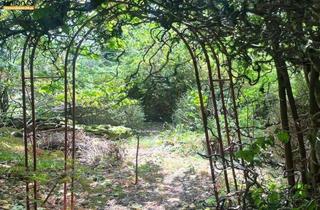 Grundstück zu kaufen in 91367 Weißenohe, 270.000 für 1.132 qm GRUNDSTÜCK mit sanierungsbedürftigen RESTHOF in der Fränkischen Schweiz