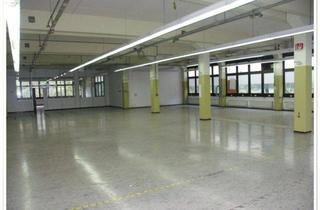 Geschäftslokal mieten in 91126 Schwabach, Lager Produktionsfläche Gewerbepark Green Valley in Schwabach