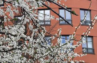 Wohnung mieten in Malmöer Straße 17, 10439 Prenzlauer Berg, Bright 3-room new -build apartment with balconies in Prenzlaur Berg