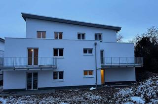 Wohnung mieten in Rheingaustraße, 55545 Bad Kreuznach, Wohnberechtigungsschein nötig - Mietwohnungen moderner Neubau Erstbezug 7€/qm