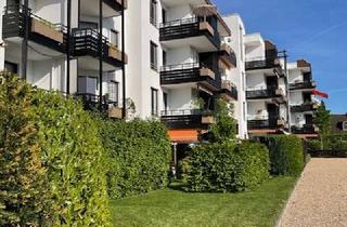 Wohnung mieten in Orffweg, 53340 Meckenheim, Ruhige 2-Zimmer-Wohnung mit Balkon, inkl. TG-Stellplatz in Meckenheim