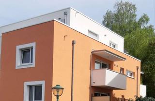 Wohnung mieten in 34292 Ahnatal, Neubau 2-Zimmer Wohnung mit Balkon in Ahnatal