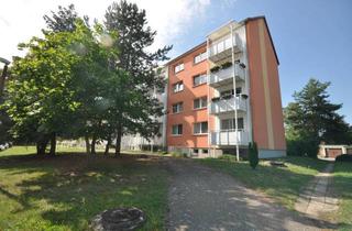 Wohnung mieten in Neue Burgkemnitzer Str. 58, 06774 Friedersdorf, Renovierte 3- Zimmerwohnung mit Balkon und Blick ins Grüne zu vermieten