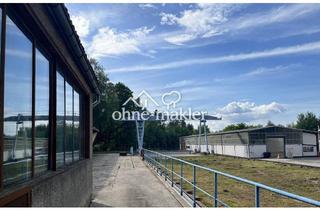 Gewerbeimmobilie kaufen in 02906 Niesky, Gewerbeanwesen im Dreiländereck DE / PL / CZ - Halle - Lager - Werkstatt - Produktion - Büro uvm.